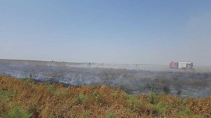 השריפה בשדות של קיבוץ עלומים