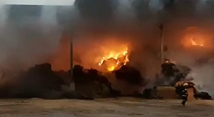 מטעים עולים באש (חדשות עשר)