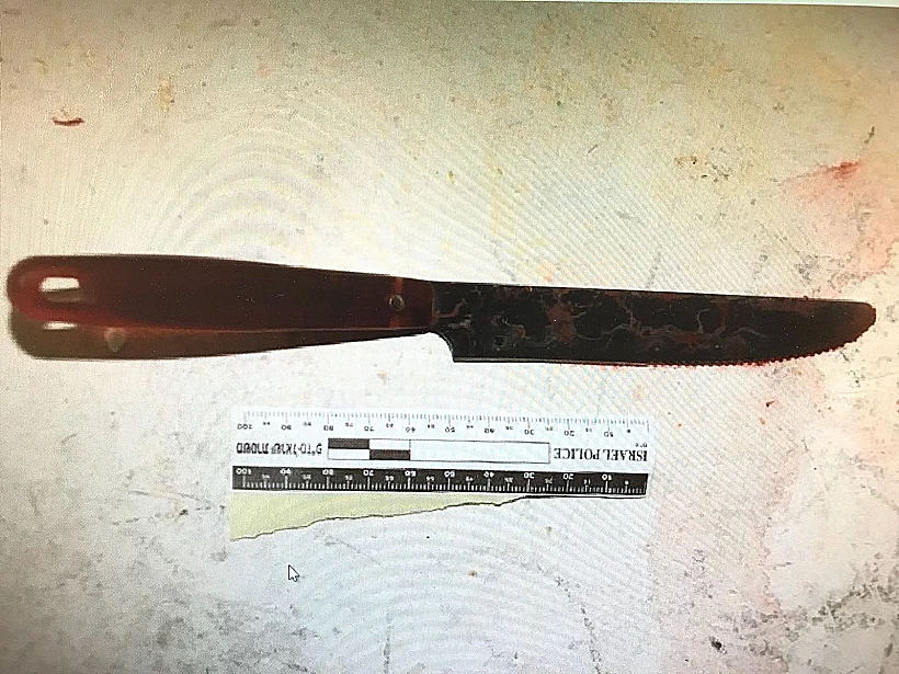 הסכין באמצעותה דקר המחבל