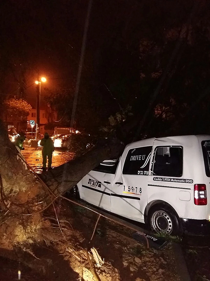 עץ שנפל על מונית בחדרה