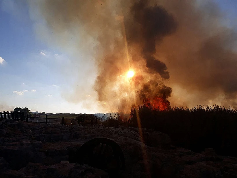 חשד להצתה בשמורת נחל תנינים