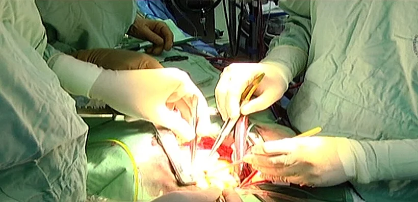 רופאים מנתחים בחדר ניתוח