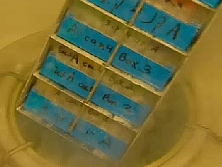 דגימות זרע במעבדה להפריות