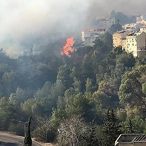 שריפה שפרצה בכרמל בחיפה