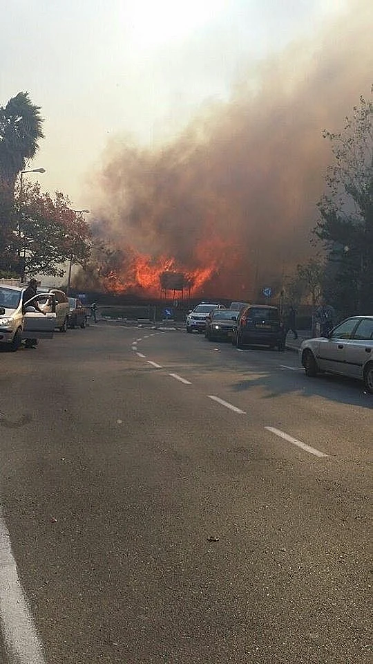 שריפה שפרצה בכרמל בחיפה