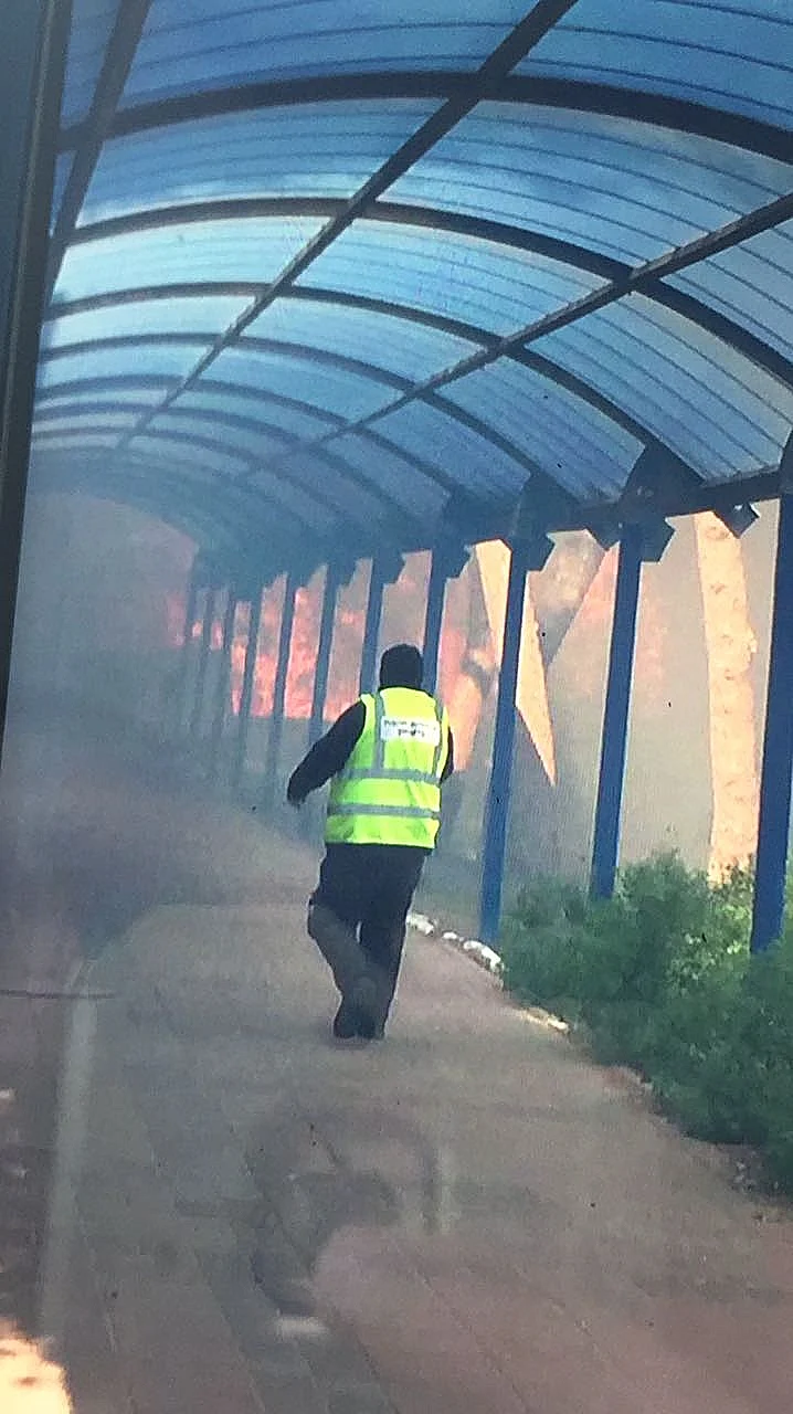 שריפה בבית הספר הריאלי בחיפה