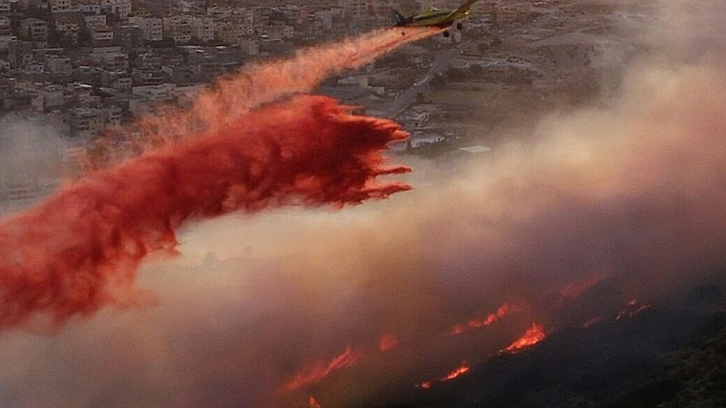 השריפה בגילון