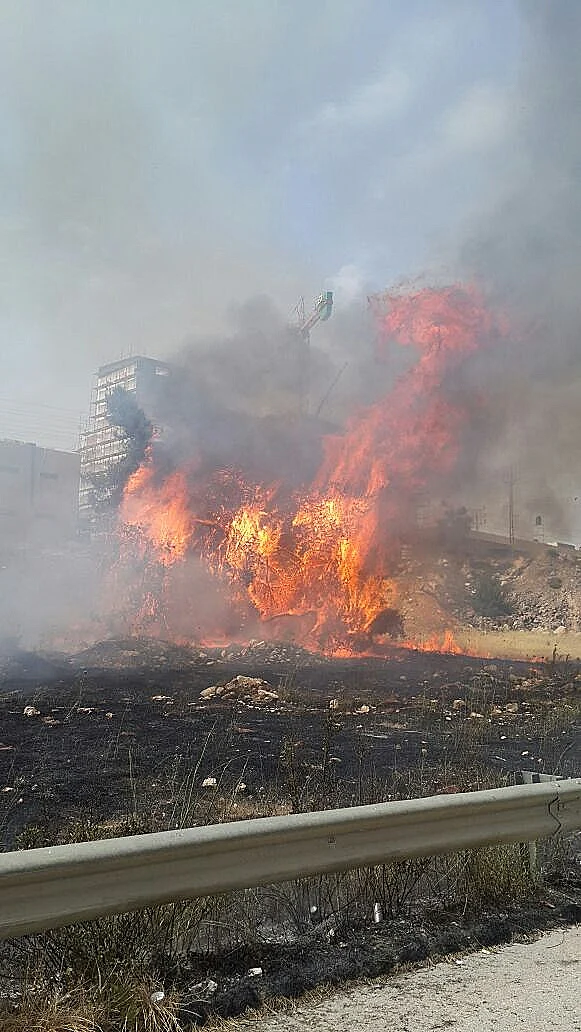 שריפת הקוצים בעטרות הסמוכה לירושלים