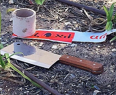 פיגוע הדריסה ברחוב שמעון הצדיק בירושלים