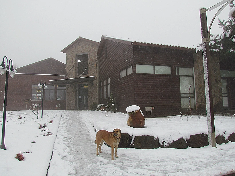 חורף במרום גולן