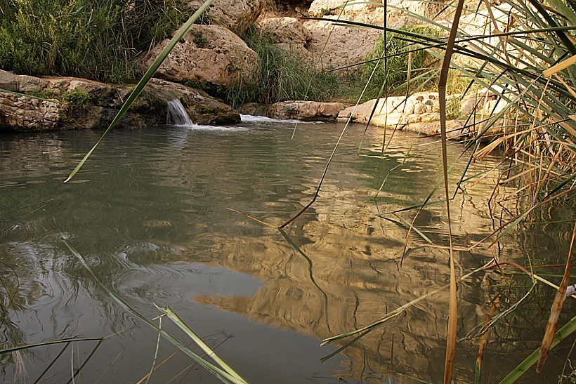 בשמורת הטבע 