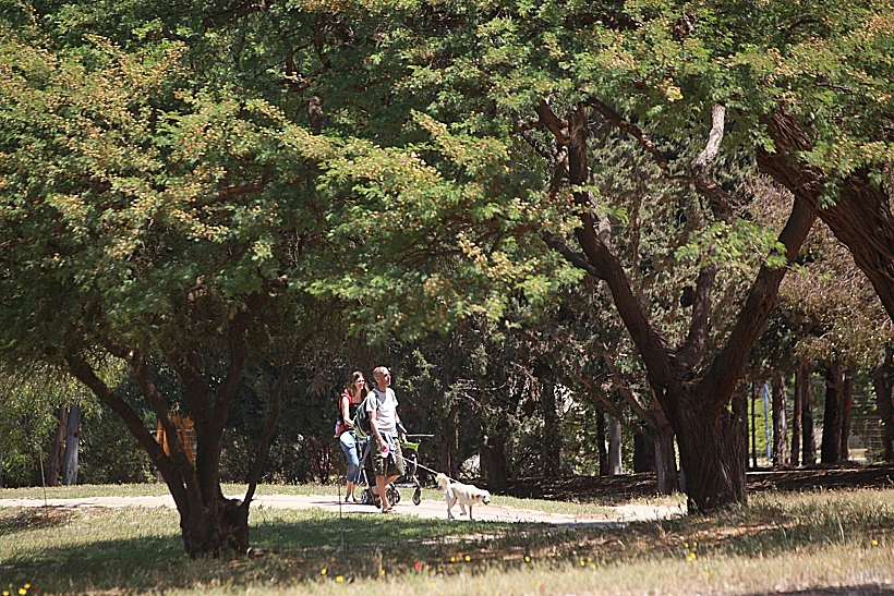 מטיילים הולכים בגן הבוטני יער אילנות בשרון