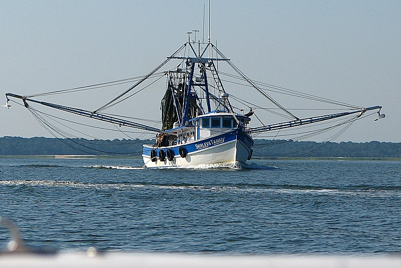 תמונה של ספינת דיגת תמונה בגודל מותאם אישית