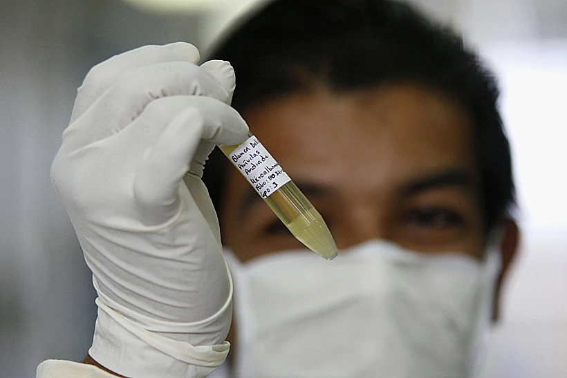 שפעת החזירים