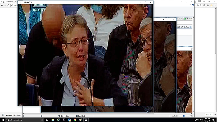 לאה גולדין, אמו של הדר גולדין שנפל במבצע צוק איתן