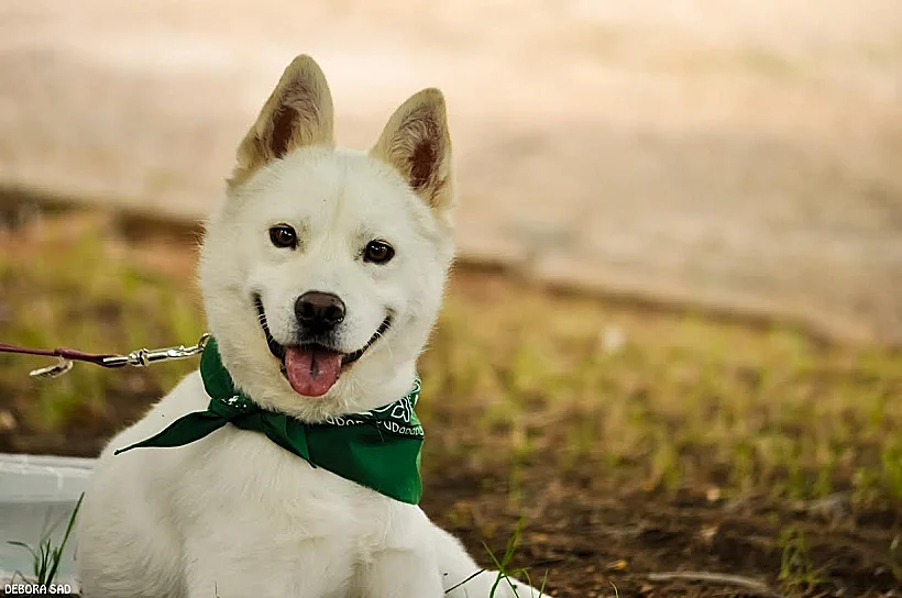 חדשות מהקולב