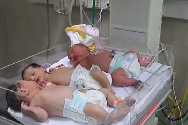 תינוקות בפגייה בעזה