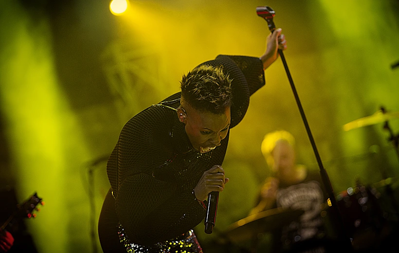 סקאנק אננסי