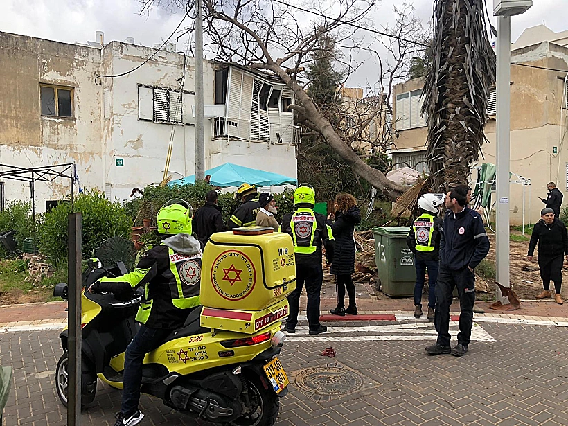 עץ שקרס בגבעתיים