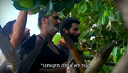 הישרדות