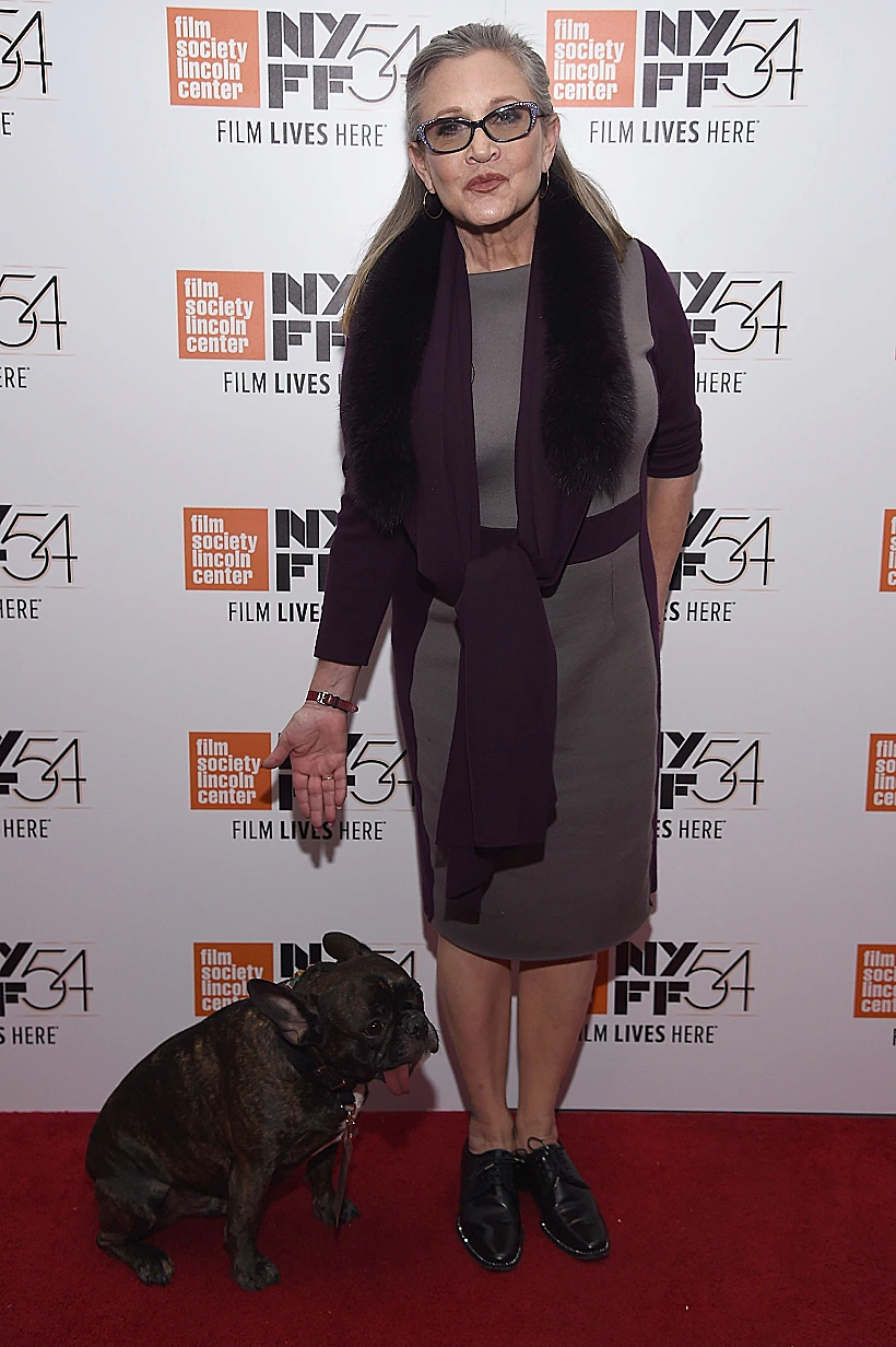 השחקנית קארי פישר בפסטיבל הסרטים של ניו יורק