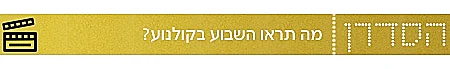 הסדרן 2011