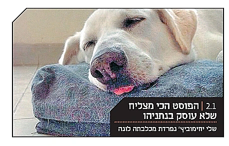 טבלת בחירות