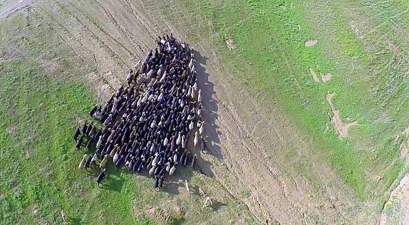 צילום של עמיר אלוני