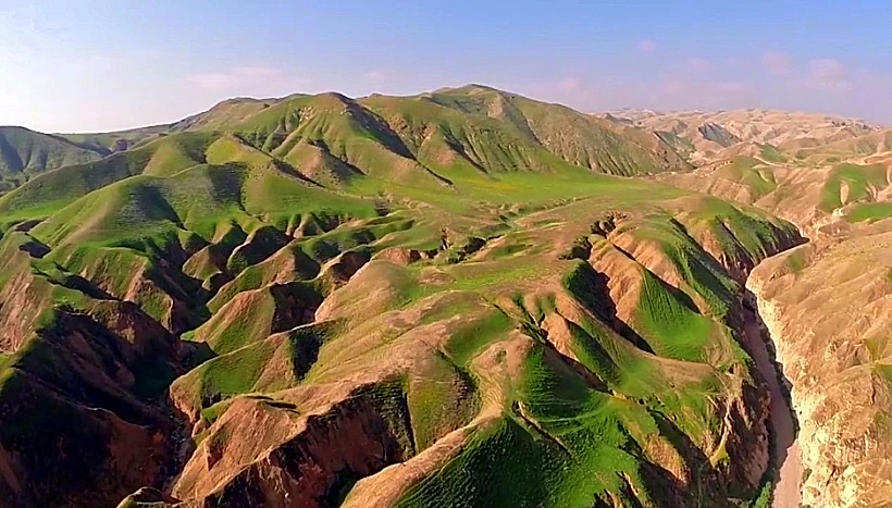 צילום של עמיר אלוני