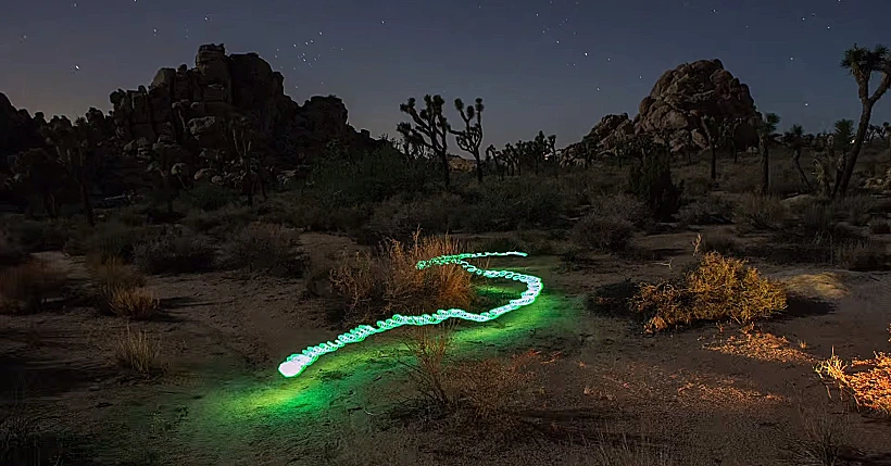 ציורי אור של האומן דארן פירסון
