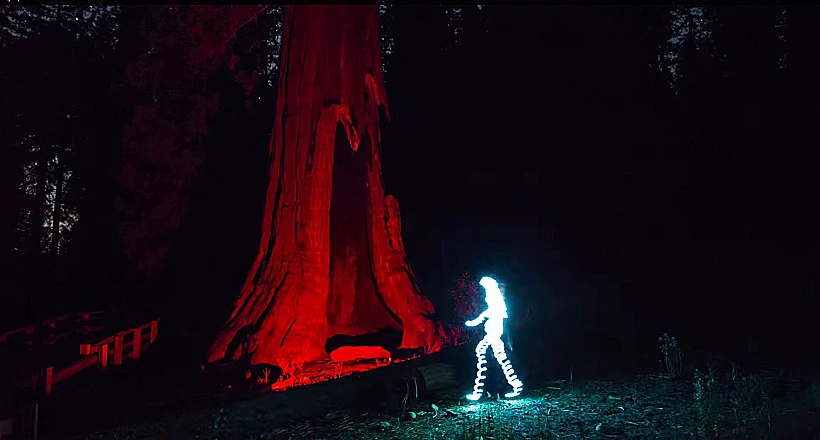 ציורי אור של האומן דארן פירסון