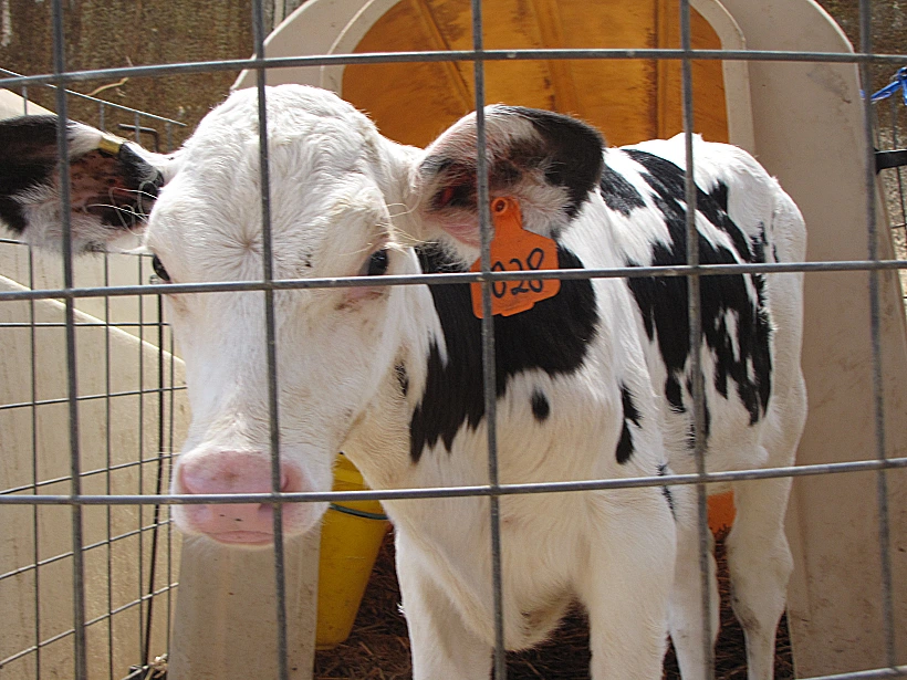 אזור קריית שמונה