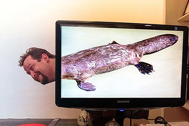 מי אמר עודף זמן ולא קיבל?