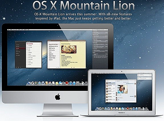 mountain lion