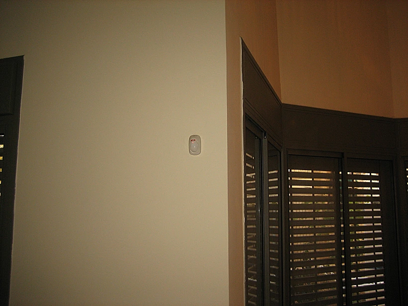 הגלאי והתריס החשמלי