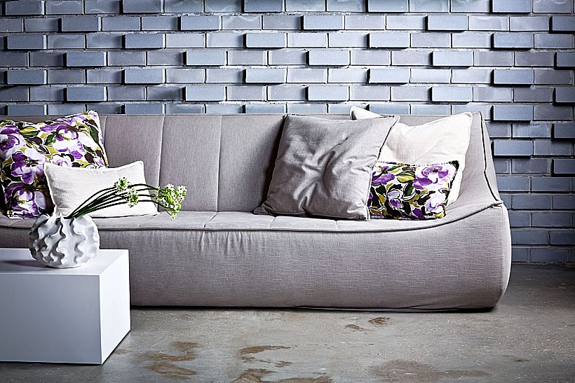 שמנת- צבע פופלארי