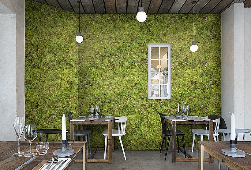 כריסטינה אגילרה