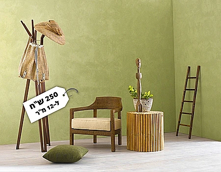 צבע טיח של נירלט