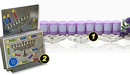 חנוכיות מיוחדות 2010