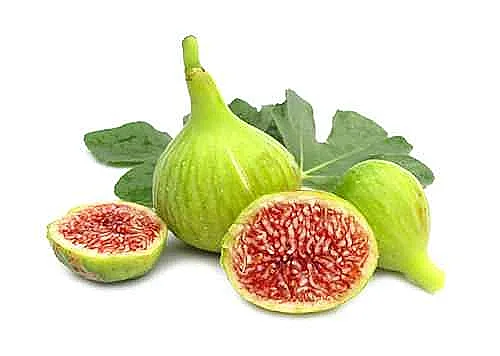 10 דברים שחייבים לדעת על תאנים