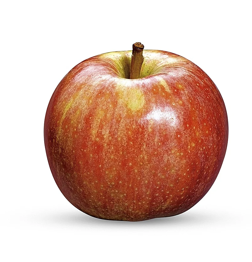 תמונה של תפוח מזן גאלה לכתבה עלתפוחים לונלטיינס דיי במתחם סודות המטבח תמונה קטנה בכתבה