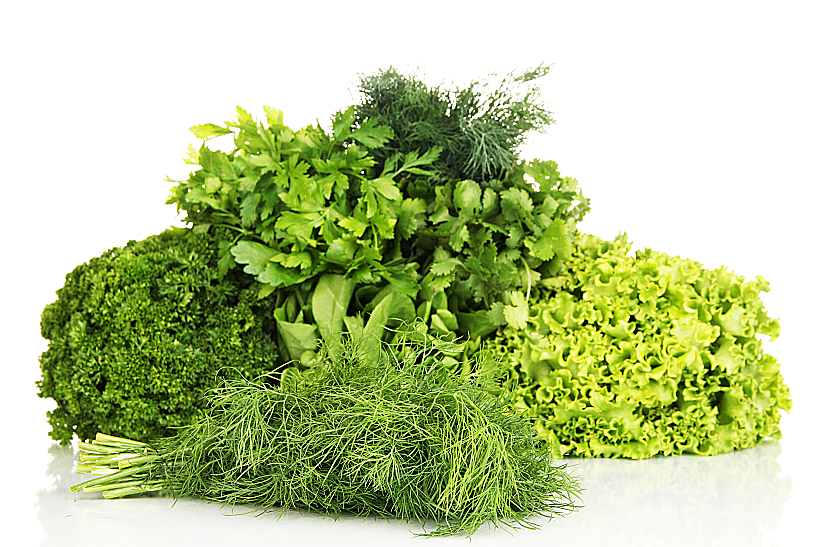 עלים ירוקים