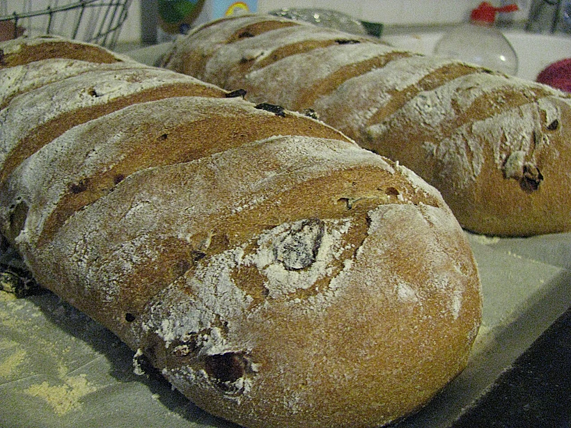 לחם מקמח מלא עם חמוציות וגרעיני דלעת