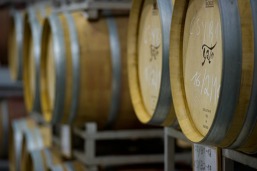 אזורי יין בישראל - נגב, יקבי יתיר, תמונה בתוך הכתבה על כל הרוחב