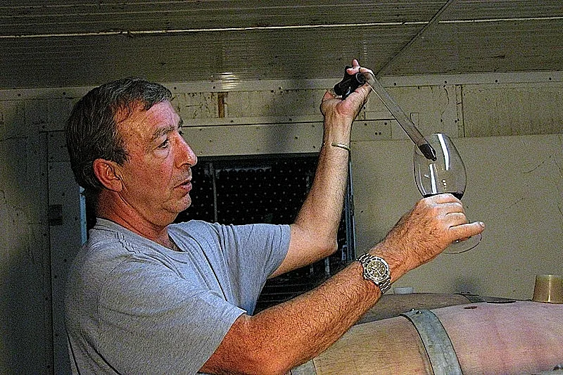 אסף קדם, יינן כורם ובעלים ביקב אסף