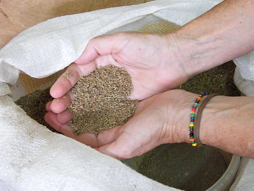 ערק אל נמרוד