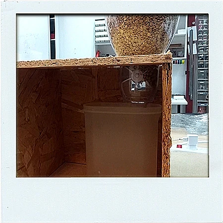 קרוסלה שנדלקת בלילה?