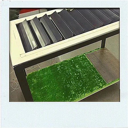 קרוסלה שנדלקת בלילה?