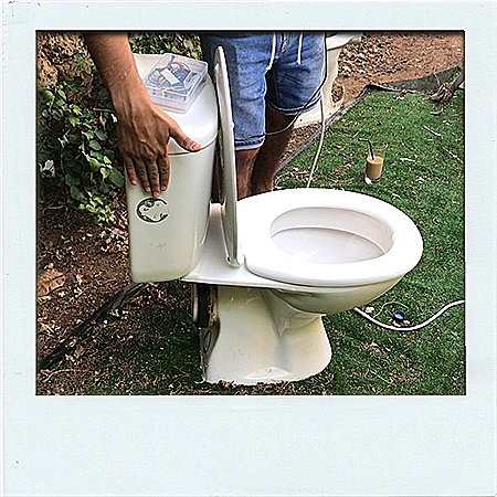 קרוסלה שנדלקת בלילה?