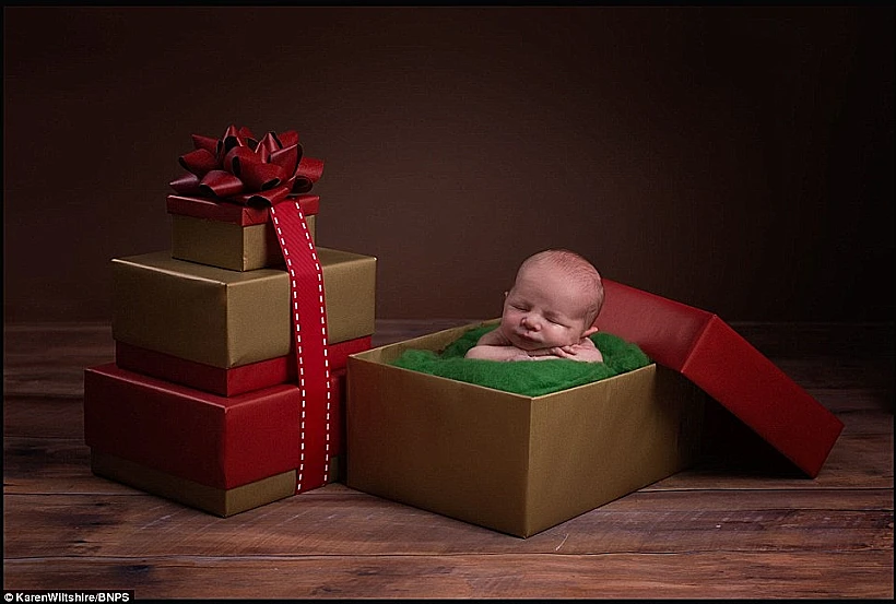 קתדרלת נוטרדאם